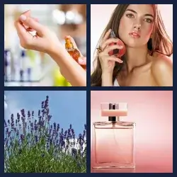 4 images 1 mot niveau 1491