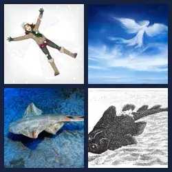 4 images 1 mot niveau 1506