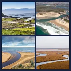 4 images 1 mot niveau 1513