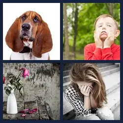 4 images 1 mot niveau 1520