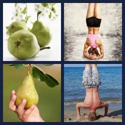 4 images 1 mot niveau 1526