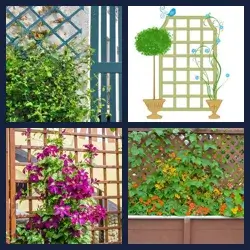 4 images 1 mot niveau 1529