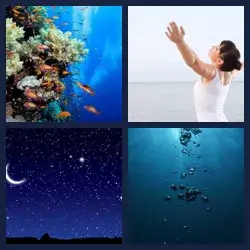 4 images 1 mot niveau 156