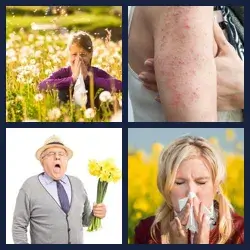 4 images 1 mot niveau 1563