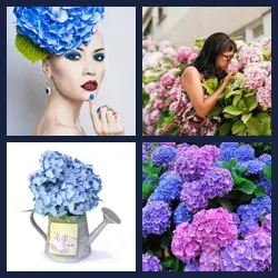 4 images 1 mot niveau 1567