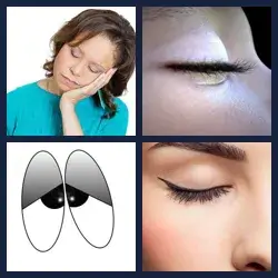 4 images 1 mot niveau 1575