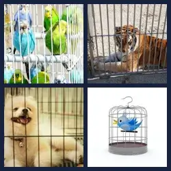 4 images 1 mot niveau 1586