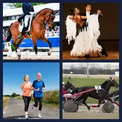 4 images 1 mot niveau 1588