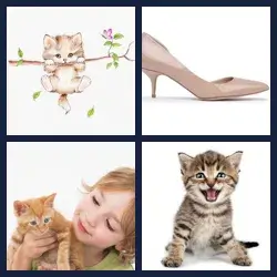 4 images 1 mot niveau 1599