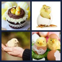 4 images 1 mot niveau 1600