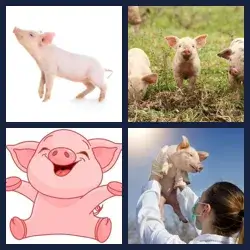 4 images 1 mot niveau 1604