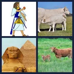 4 images 1 mot niveau 1605