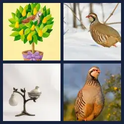 4 images 1 mot niveau 1619