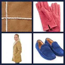 4 images 1 mot niveau 1626