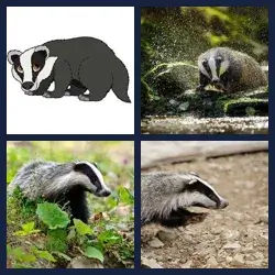 4 images 1 mot niveau 1627