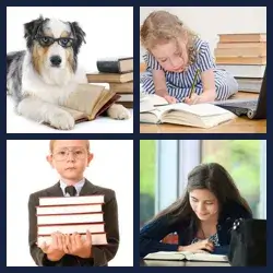 4 images 1 mot niveau 1632