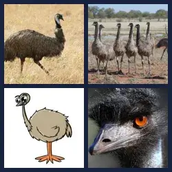 4 images 1 mot niveau 1634