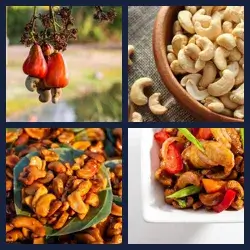 4 images 1 mot niveau 1644