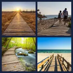 4 images 1 mot niveau 1647