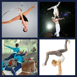 4 images 1 mot niveau 1648