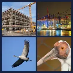 4 images 1 mot niveau 165