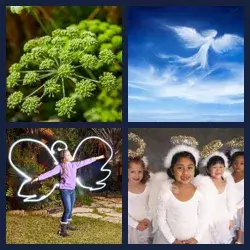 4 images 1 mot niveau 1651