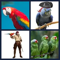 4 images 1 mot niveau 1656