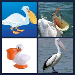 4 images 1 mot niveau 1669