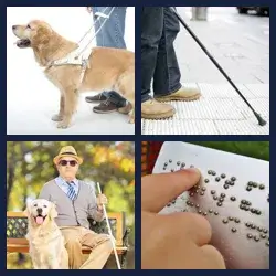 4 images 1 mot niveau 1673