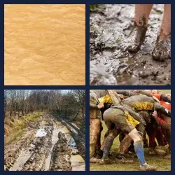 4 images 1 mot niveau 1678