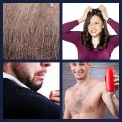 4 images 1 mot niveau 1686