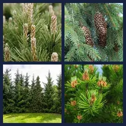 4 images 1 mot niveau 1687