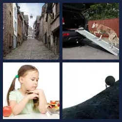 4 images 1 mot niveau 169