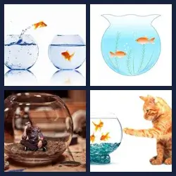 4 images 1 mot niveau 1694