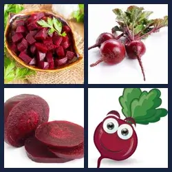 4 images 1 mot niveau 1698