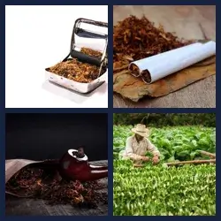 4 images 1 mot niveau 1701