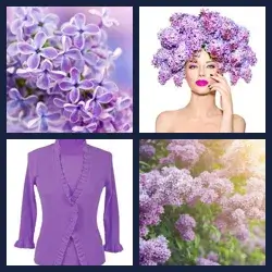 4 images 1 mot niveau 1704