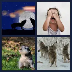 4 images 1 mot niveau 1706