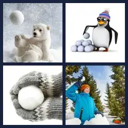 4 images 1 mot niveau 1708