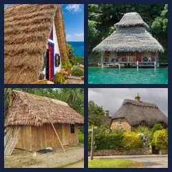 4 images 1 mot niveau 1712