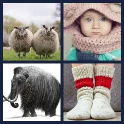 4 images 1 mot niveau 1722