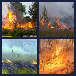 4 images 1 mot niveau 1726