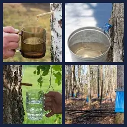 4 images 1 mot niveau 1731