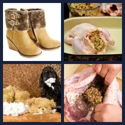 4 images 1 mot niveau 1732