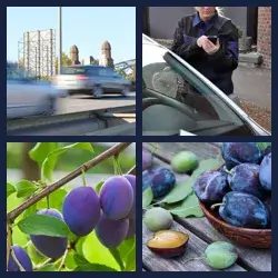 4 images 1 mot niveau 174