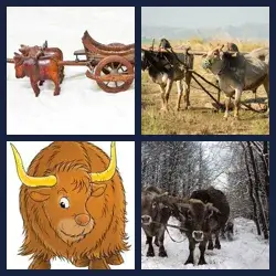 4 images 1 mot niveau 1751