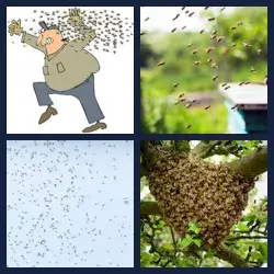 4 images 1 mot niveau 1752