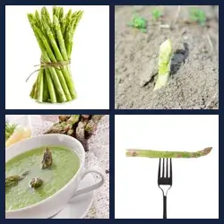 4 images 1 mot niveau 1776