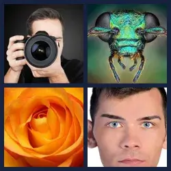 4 images 1 mot niveau 1777