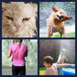 4 images 1 mot niveau 1782